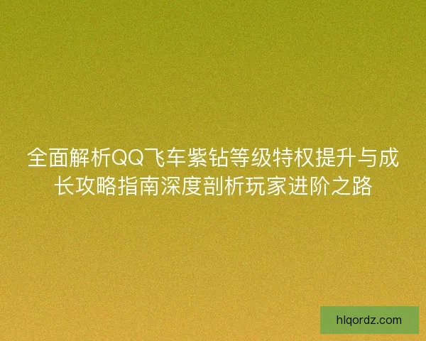 全面解析QQ飞车紫钻等级特权提升与成长攻略指南深度剖析玩家进阶之路